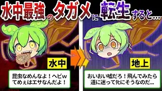 ヘビを喰らう昆虫！最強すぎるタガメの悲しい生態とは⁉【ずんだもん&ゆっくり解説】
