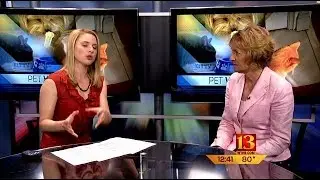 Pet Vet: Parvovirus