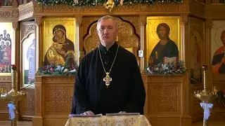 “Свет веры” 25.01.2026