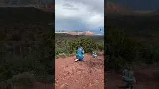 Hello Arizona!🏜️  #pokemon #biology #shorts