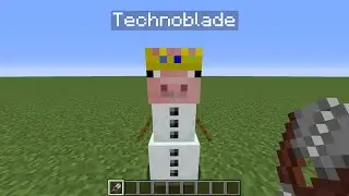 technoblade face reveal