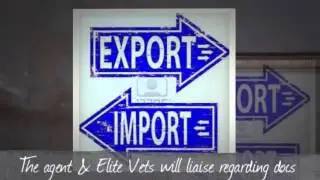 Exporting Pet to the USA?