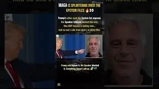 Trump Allies Are Splintering Over the Epstein Files &mdash; But Why? 🔥🧨 #shorts
