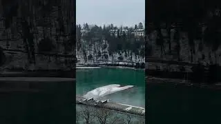 Beautiful Winter.❄️ #travel #switzerland #photography #nature #bern #winter #snowfall #beuty
