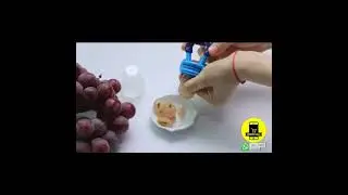 Silicone Baby Fruit Pacifier UShop4All