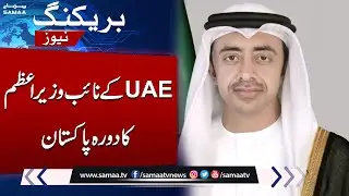 UAE deputy PM to visit Pakistan for talks on trade, energy, security | SAMAA TV