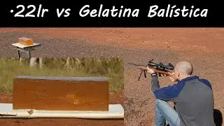 .22lr na Gelatina Balística... Teste Técnico super completo!!