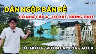 Dân ngộp bán rẻ🔥nhà cấp 4 sân vườn có đất trồng cây, có thổ cư, ao cá sẵn | Việt Phạm Nhà Bình Chánh