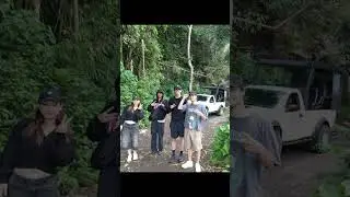 Witness the Wonder: Kintamani Bats in Action!