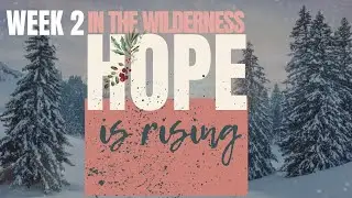 When God Rewrites Your Story : Week 2 of Into the Wilderness Hope is Rising.