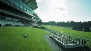 Horses and drones at Ascot? Must be the Shergar Cup