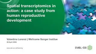 Spatial transcriptomics in action  a case study from human reproductive development