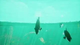 Abzu - Orca/Killer whale