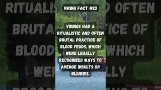 Blood Feuds: Viking Justice