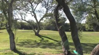Welcome to the Tubac Golf Resort & Spa