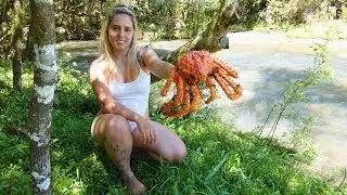 COOKING OUTDOOR - Cooking a giant crab by the river ASMR