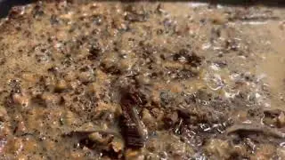 Making Homemade Root-beer Syrup