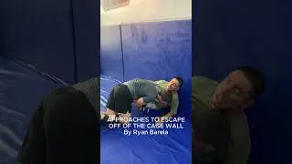 APPROACHES ON HOW TO ESCAPE OFF OF THE CAGE WALL IN MMA