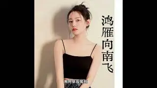 洋瀾一 鴻雁向南飛