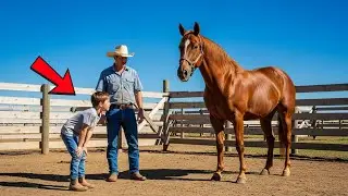 ELE PAGOU O MENOR PREÇO POR UM CAVALO NO LEILÃO — O DIAGNÓSTICO DO VETERINÁRIO CAUSOU ALVOROÇO