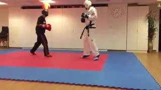 LCTKD Chinatown training 2016