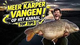 Carp fishing on the canal: an approach for demonstrably more catches!
