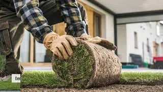 R.E. And Sons Landscaping - Enhance Curb Appeal with Landscaping Prescott Solutions