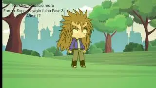 Mis Transformaciones y niveles de poder