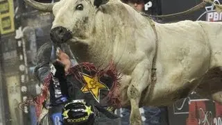 WRECK: Sean Willingham takes a hard hit from Sam