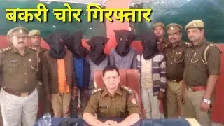 Phaphund Auraiya- जायलो गाड़ी में चोरी की बकरियों के साथ चोरों को किया गिरफ्तार