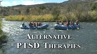 Alternative PTSD Therapies:  Compilation