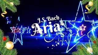 Francisca Rigaud sings: 