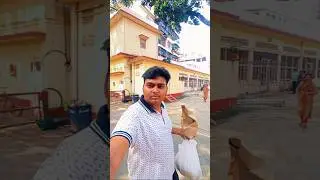Guwahati Goushala vlog 😊 #shorts #minivlog #youtubeshorts #assamesenewvlog #guwahati