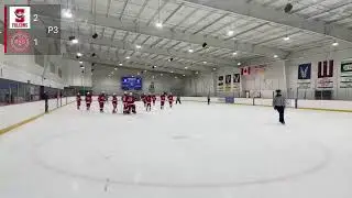 Surrey Falcons U18 A1 @ Seattle Red Hawks U18 A1