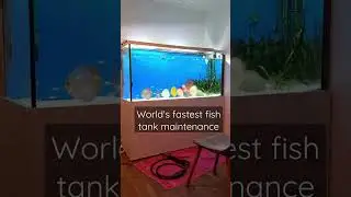 How fast can you change your water? 100l in 20 mins. #discusfish #aquarium #fish #aquariumhobby