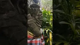 Beautiful Temple in Bali ♡ #bali #indonesia #temple #temples #solace #peace #peaceful #beautiful