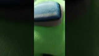amogus
