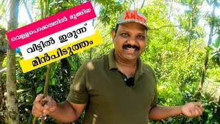 fishing video Malayalam | fishing freaks | traditional fish trap | fishing fish| mj tech travel