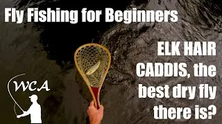 Fly Fishing for Beginners - Elk Hair Caddis, the best dry fly there is?