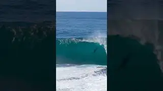 Dolphins in Australia are just built differently 🇦🇺. 🎥  by Josh Dawson during the ex Cyclone TAM.