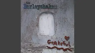 Romanian Polka