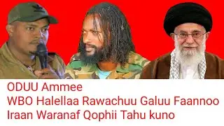 ODUU Ammee: Haala Oromiyaa Wbo fi Faannoo Motummaa  | Moha Oromo 