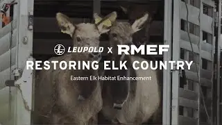 Restoring Elk Country - Eastern Elk Habitat Enhancement