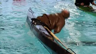 21 Norsaq Reverse Sweep Roll