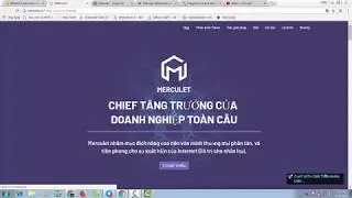 ICO REVIEW - Merculet  ( Cooperation with Krypital )