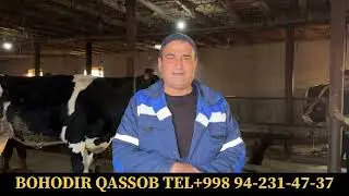 БОХОДИР КАССОБНИ ФЕРМАСИДАН ТОЛИК ВИДЕОРОЛИК 