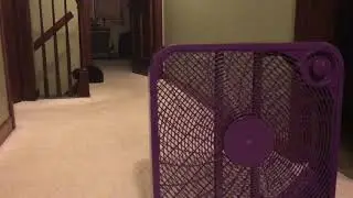 20&rdquo; Purple Mainstays Box Fan (broken).