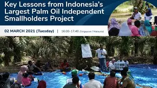Key Lessons from Indonesia's Largest Palm Oil Independent Smallholders Project Webinar