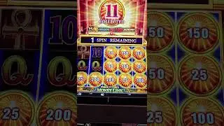 Big Win on Money Link! #slots #peppermillreno #bigwin #thegamblingchef