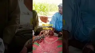 shorts #song #rabab #pashto #rafi